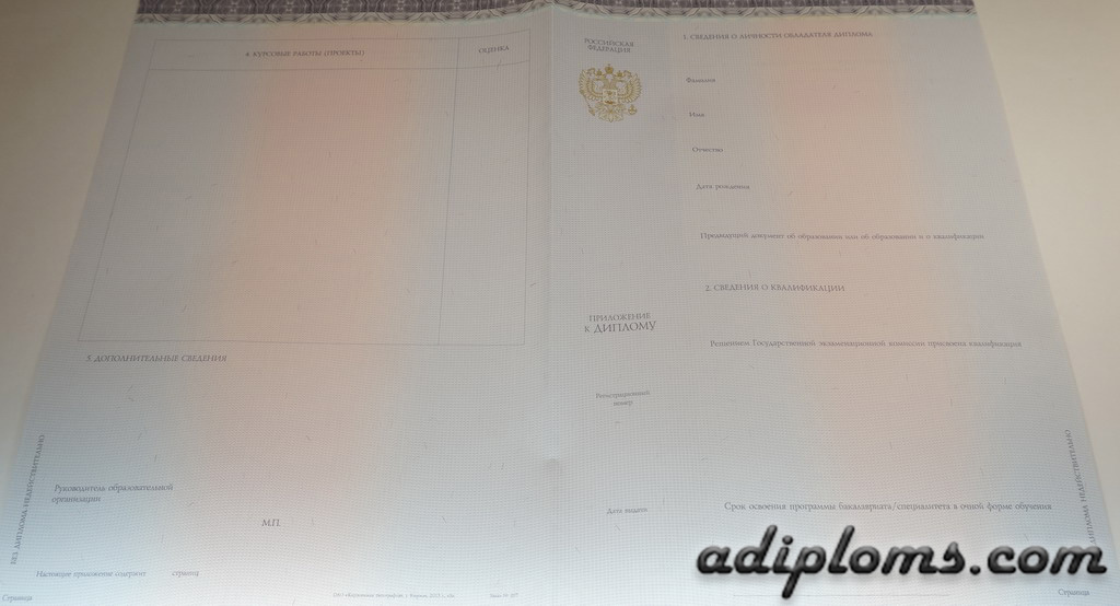 Диплом бакалавра 2014-2026 Фото
